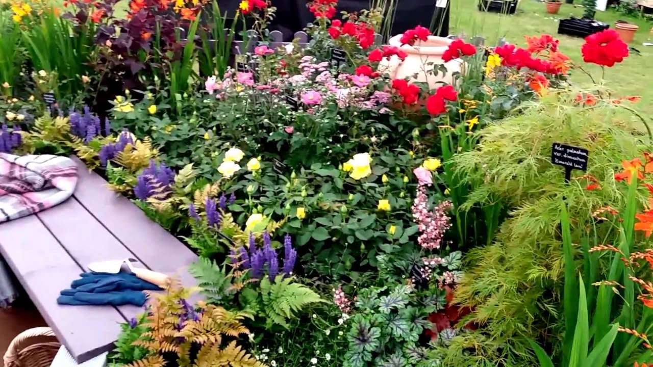 Shrewsbury Flower Show 2016  Country Garden Roses UK