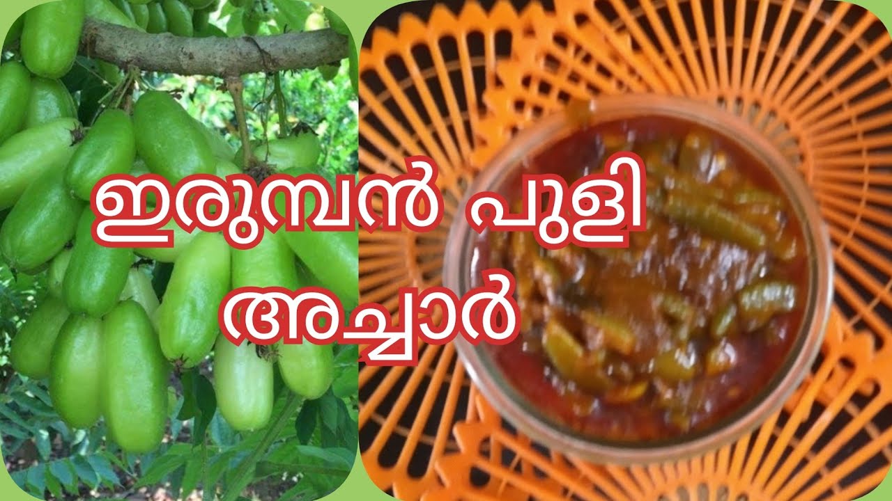 ഇരുമ്പൻ പുളി അച്ചാർ തയ്യാറാക്കാം