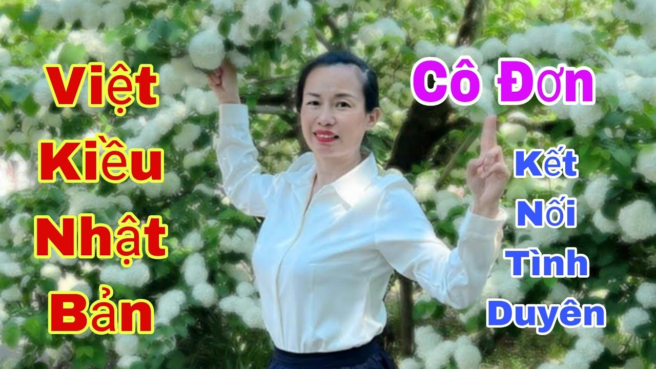 #1163. VIỆT KIỀU NHẬT BẢN, TÌM NỬA YÊU Thương