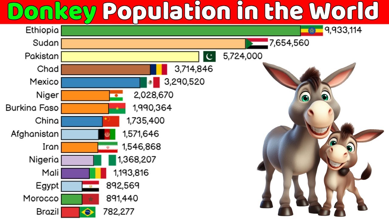 Top 15 Countries with Most Donkey Populations