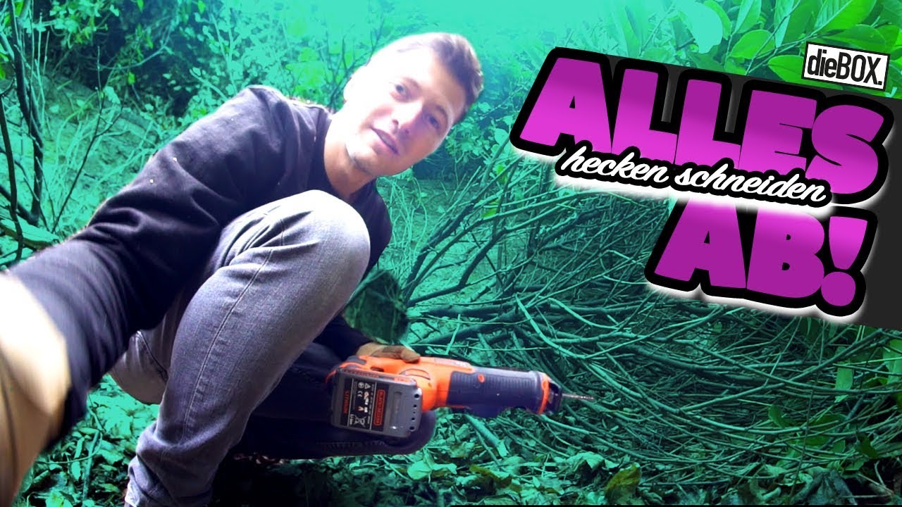 Ich holze den BOX Hinterhof ab! 😢