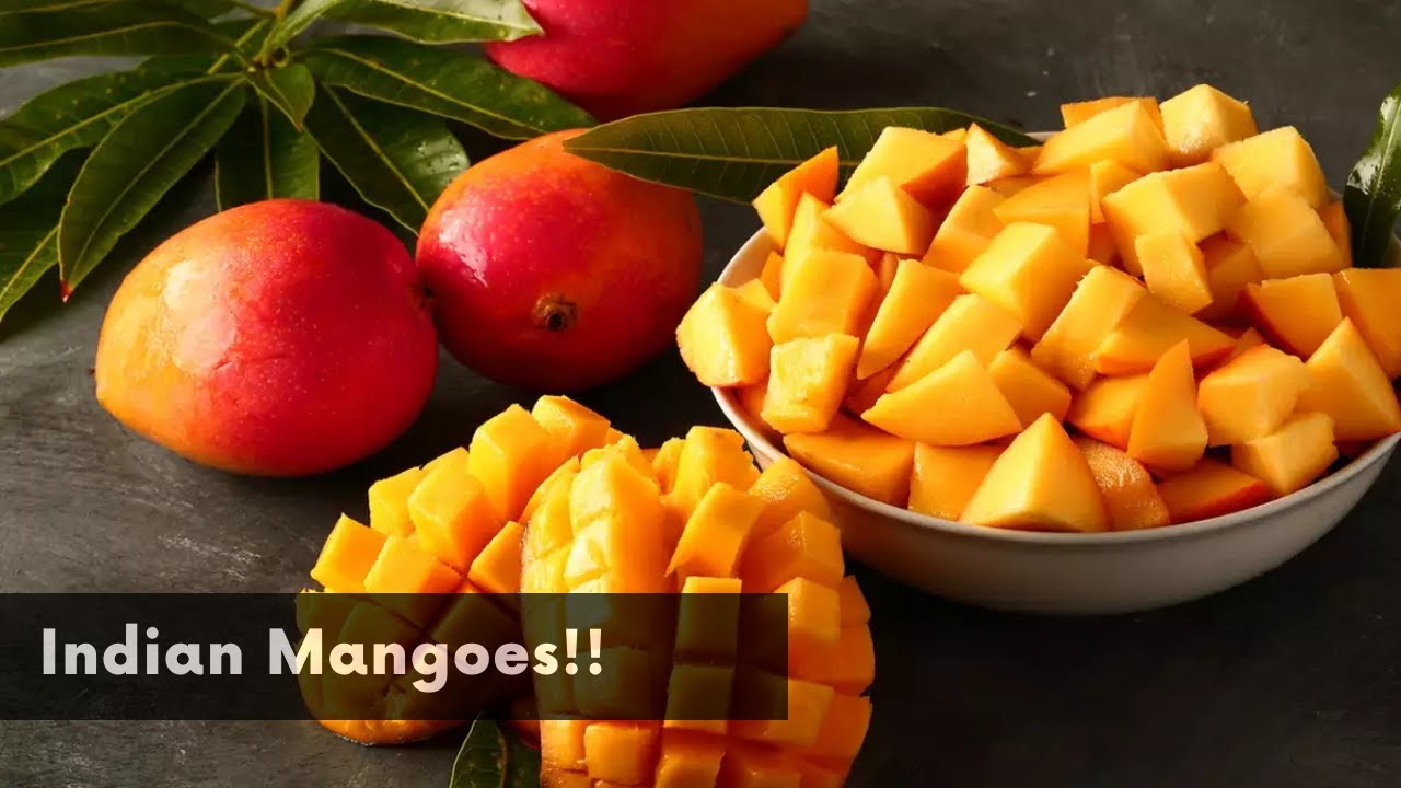 Foreigners trying Indian Mangoes for the first time!!😋😋🥭🥭