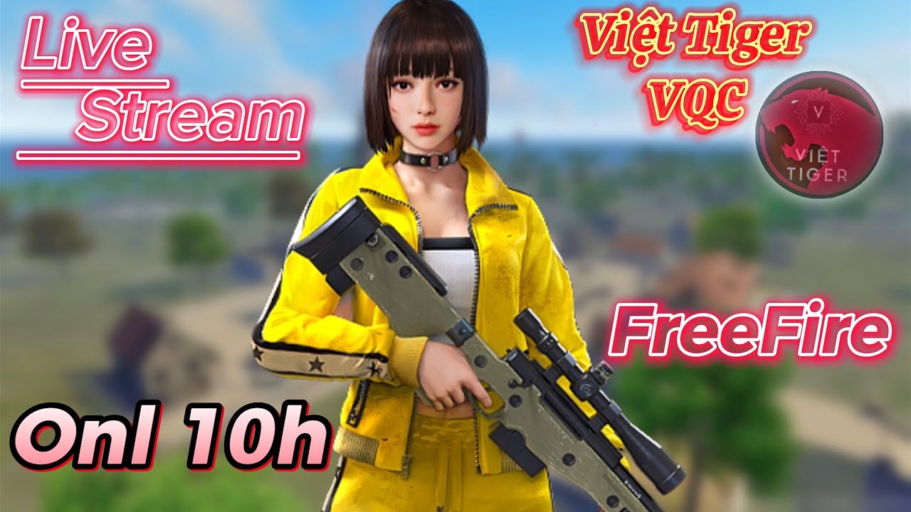 Team Code Leo Thách Đấuuu | Viet Tiger VQC