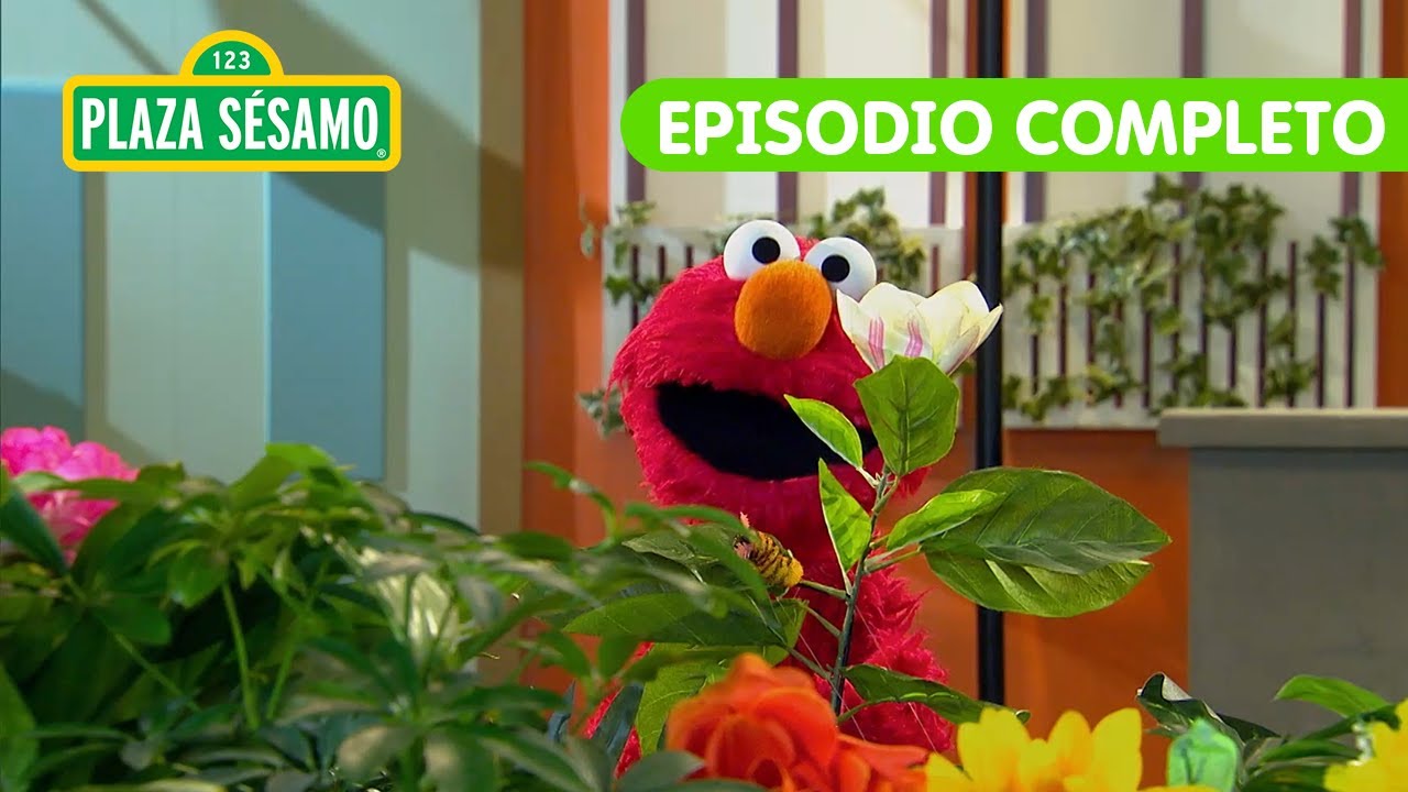 Plaza Sésamo: ¡Aprendamos palabras nuevas!