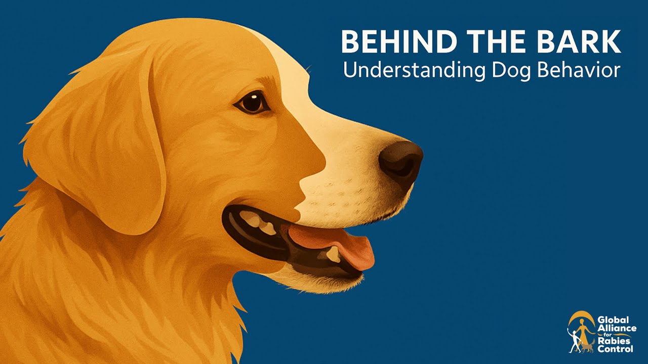 Behind the bark Part 2/3