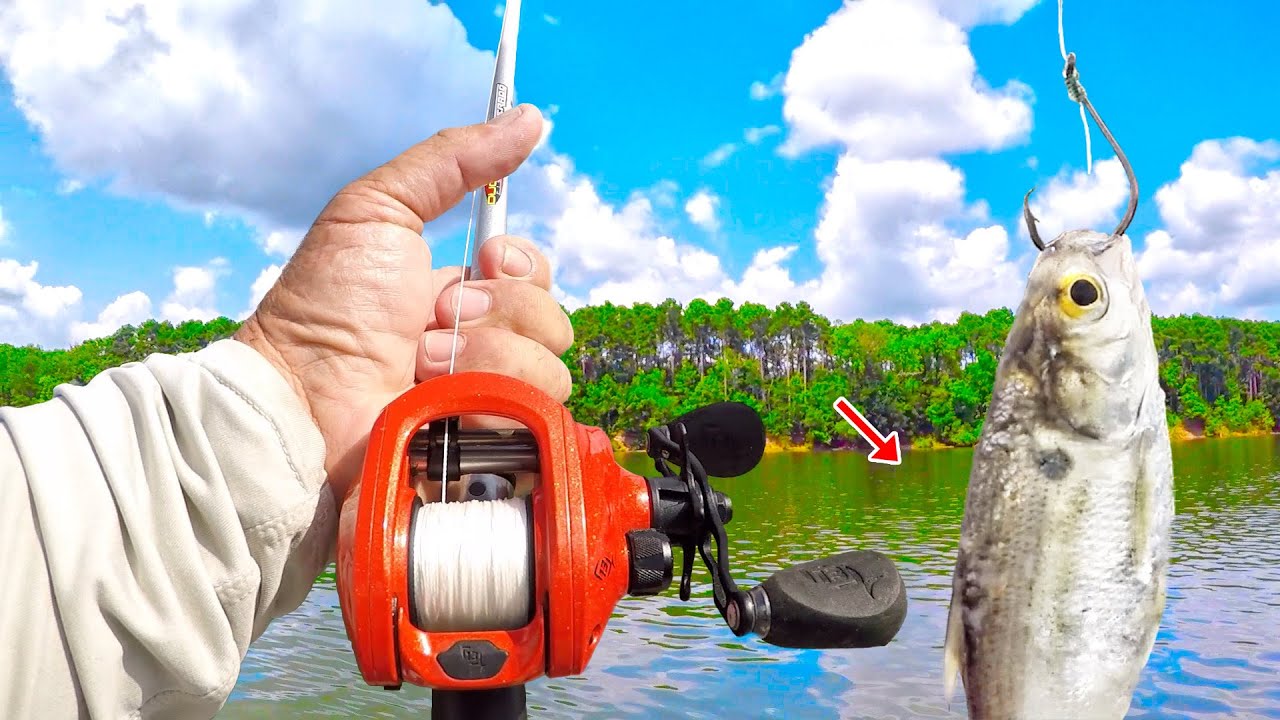 Easy Way To Fish For Catfish! Simple Rig Catches BIG Fish!