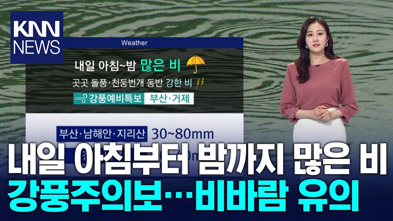 내일 아침부터 밤까지 많은 비..비바람 유의 / KNN