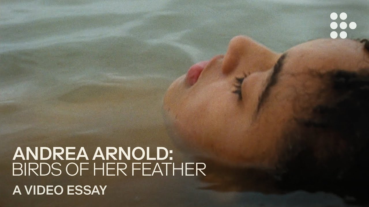 Video essay: “Andrea Arnold: Birds of Her Feather” | MUBI