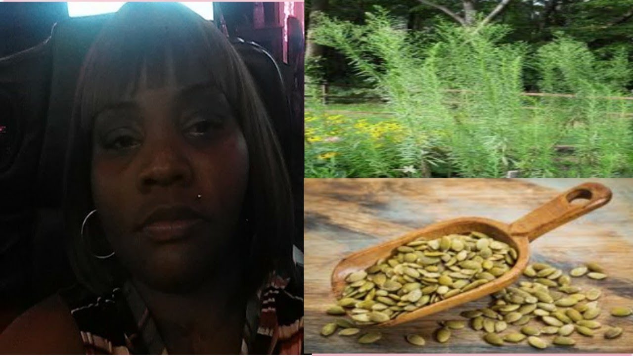 Prophetic word| U reap what u sow#karma#reap fruits not wickedness