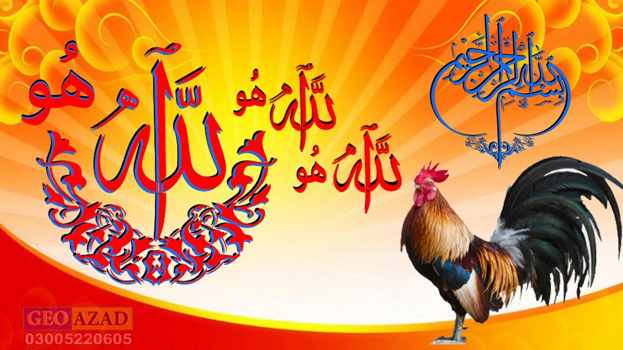 Abdul Wahid Jatoi | New Naats | 2023 | Allah Hoo Allah Hoo | Sabhko Saeen Pahenje Khe | Islam Islam