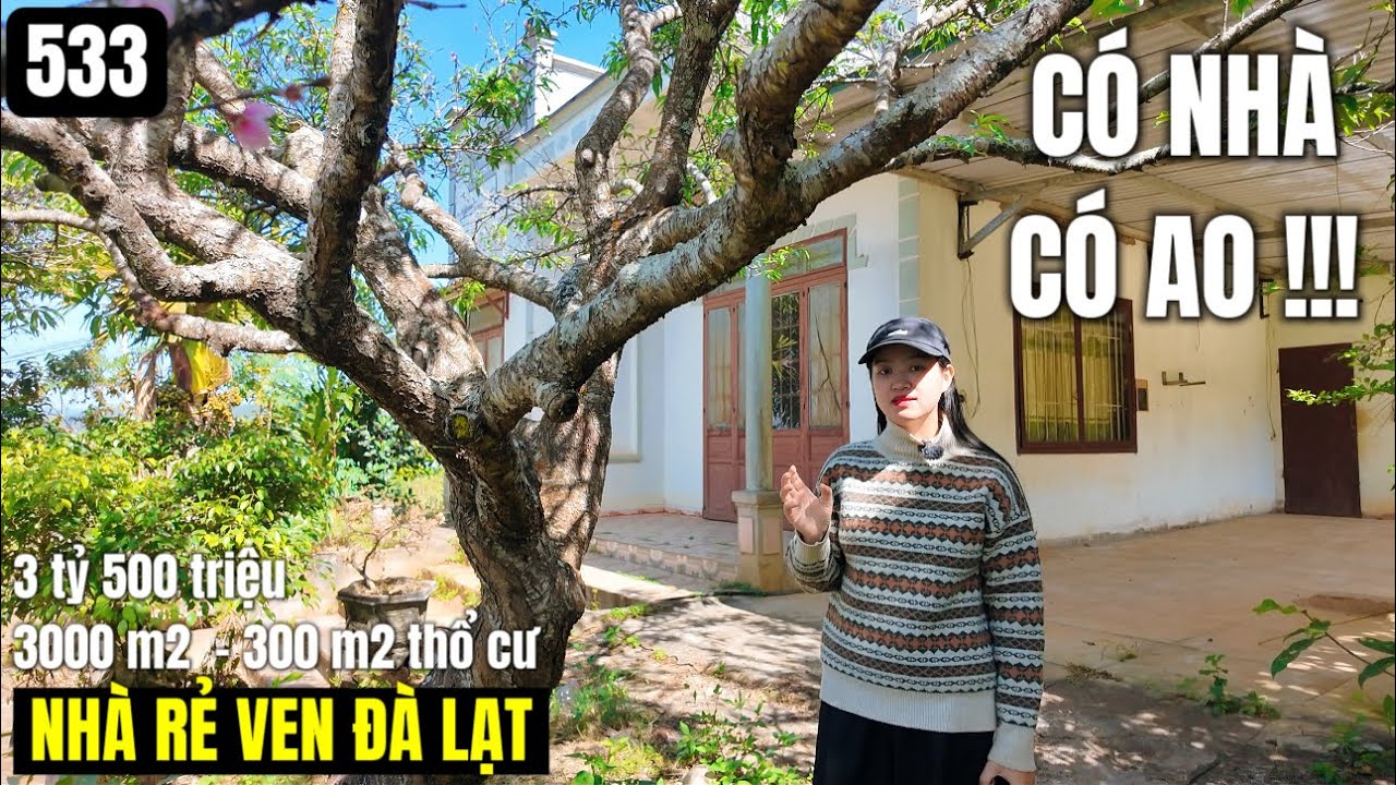 Nhà vườn rộng có cây ăn trái có hồ cá bán rẻ lắm 3000 m2 300 m2 thổ cư 3 tỷ 500 triệu ven Đà Lạt