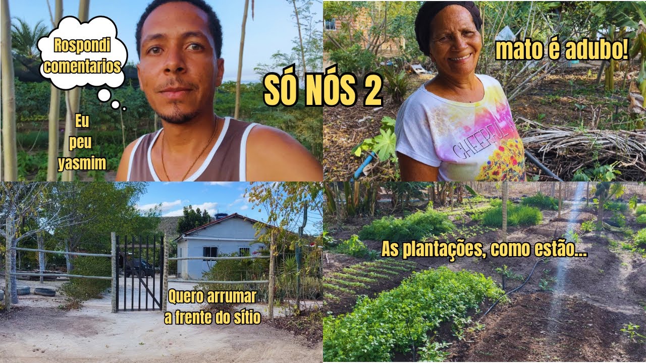 Respondi comentários, só eu e Mainha no sítio, as plantações e o jardim 