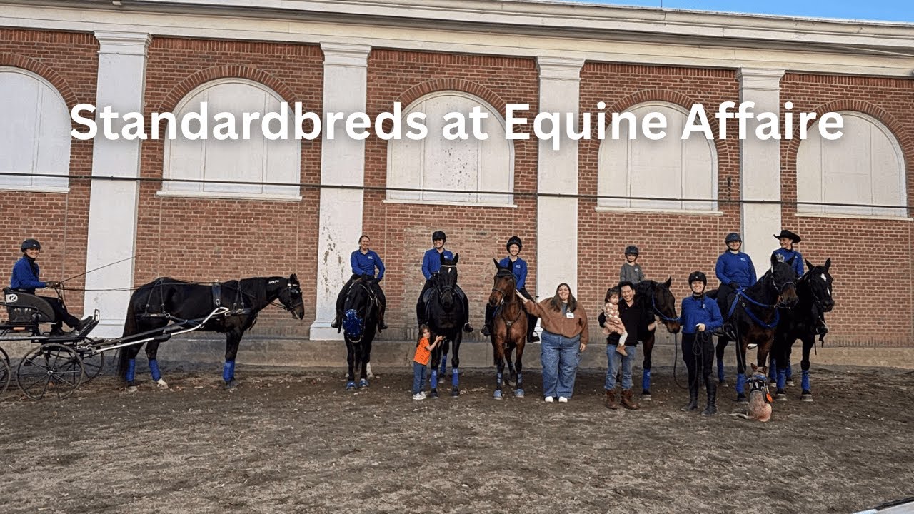 Standardbreds at Equine Affaire (2025)