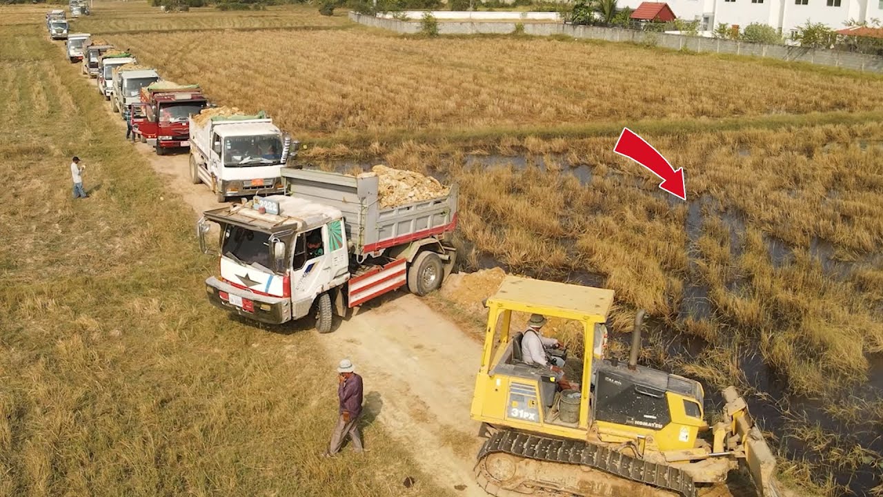 UNBELIEVABLE! Hard Work Of KOMATSU D31PX Push Soils Deleting Farm Land With Team Dump Trucks 5t
