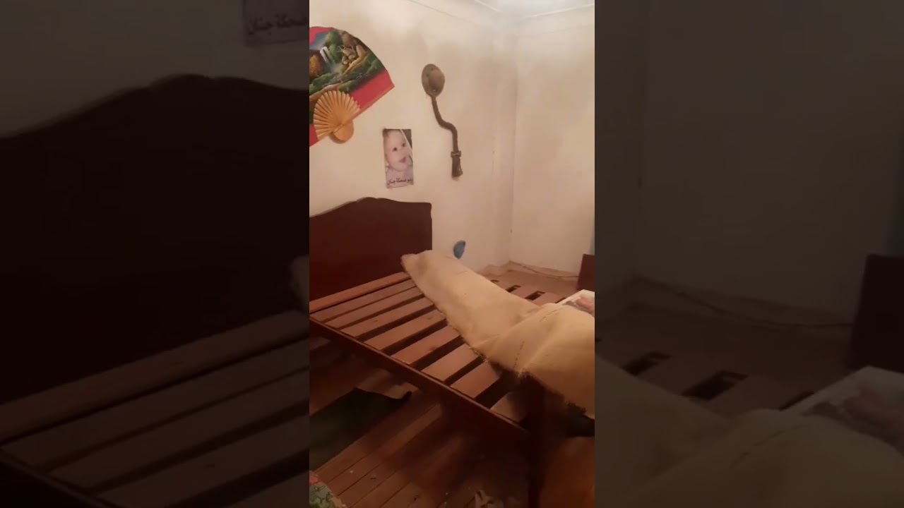 عدد اثنان شقه للبيع فى شارع عمرالمخطارمتفرع من شارع الهانوفيل الريسي العجمي اسكندريه كملت المرافق 