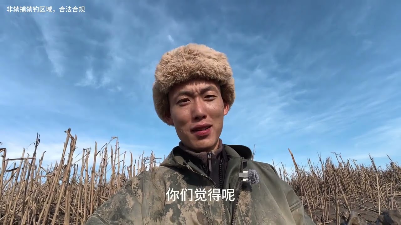 撿的螃蟹 就是香 #趕海生活 #抓螃蟹 #青蟹 #爆護 #蟹逅魚友