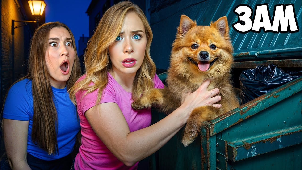 WE FOUND A LOST DOG IN A DUMPSTER AT 3 AM…