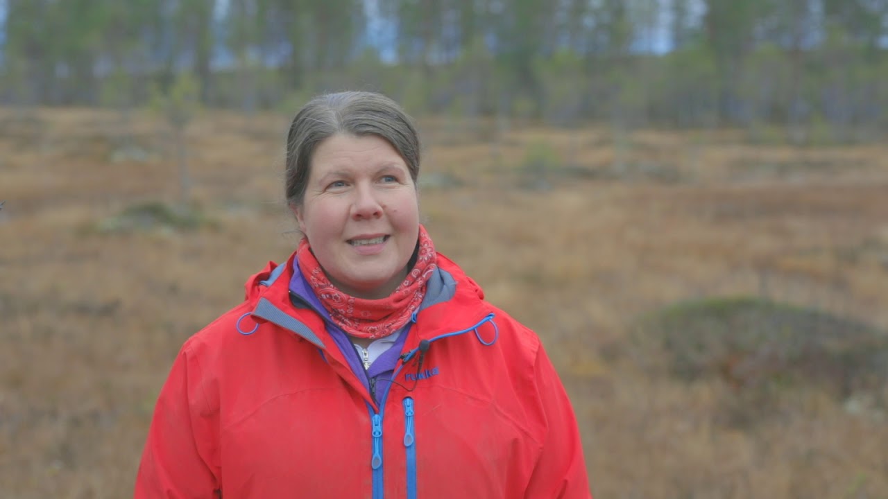 Large carnivores are Eliisa Kiiskinen's closest neighbours
