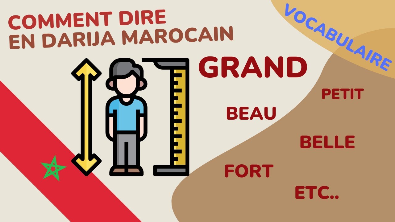 #3 🇲🇦​ Apprendre darija/arabe marocain : VOCABULAIRE : beau, grand.. +Présentation cartes mémoires