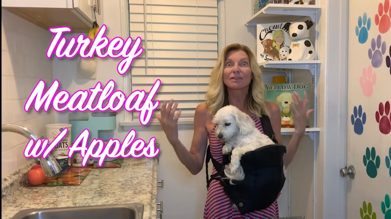 HOMEMADE DOGFOOD  BEST DOG  TURkey  MEATLOAF  recipe w/apples~oats 2 share w/dog  Chowtime SE1 EP16