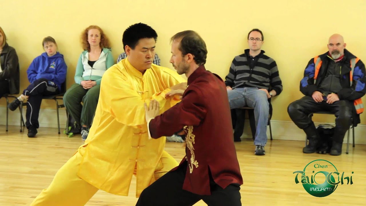 Grandmaster Wang Hai Jun & Irish Students -  World Tai Chi Day 2014