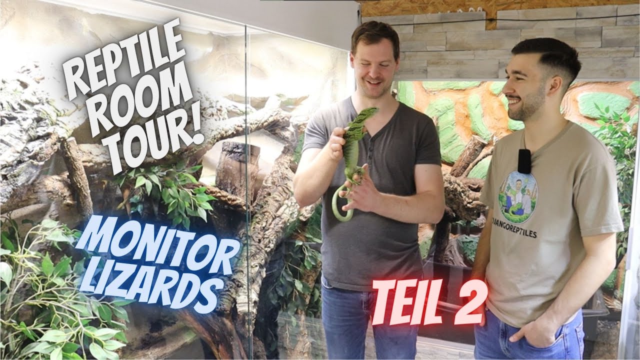 Reptile Room Tour mit Waranen Teil 2 | MONITOR LIZARD ROOM TOUR 2