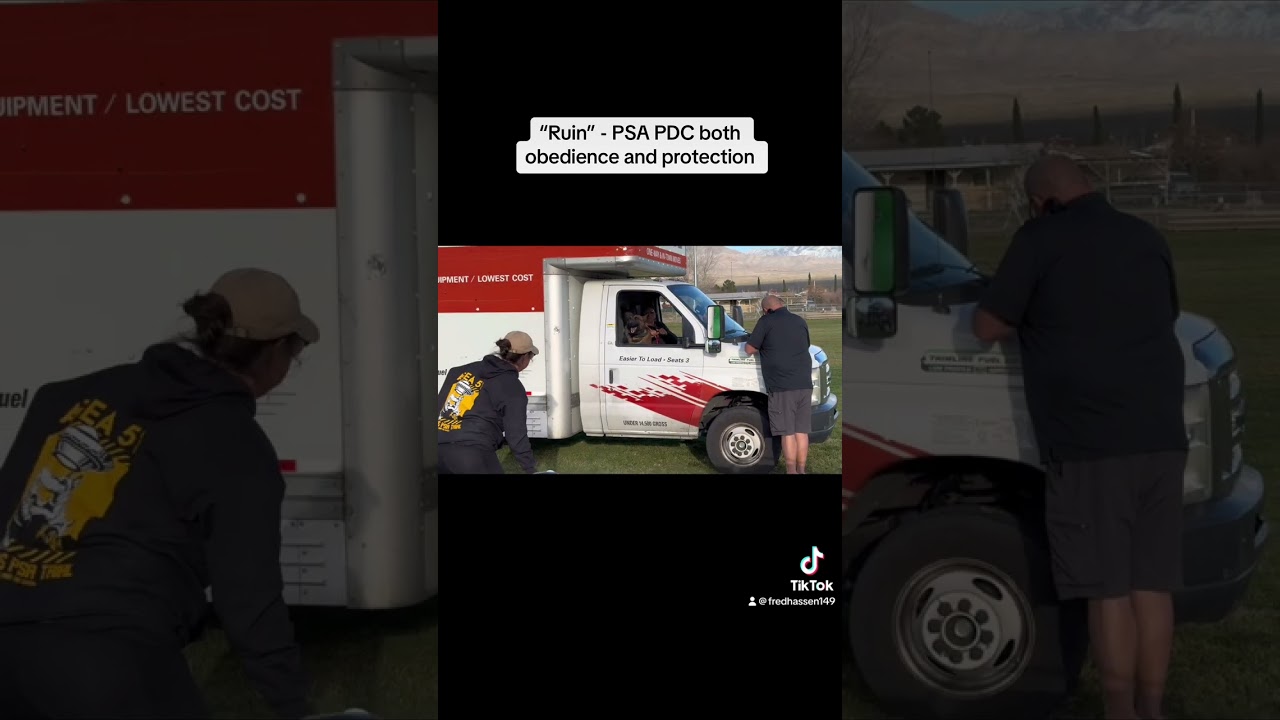 PSA PDC “Ruin” both Obedience and protection routine.