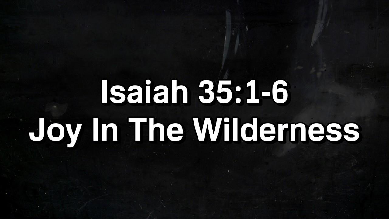 Joy In The Wilderness