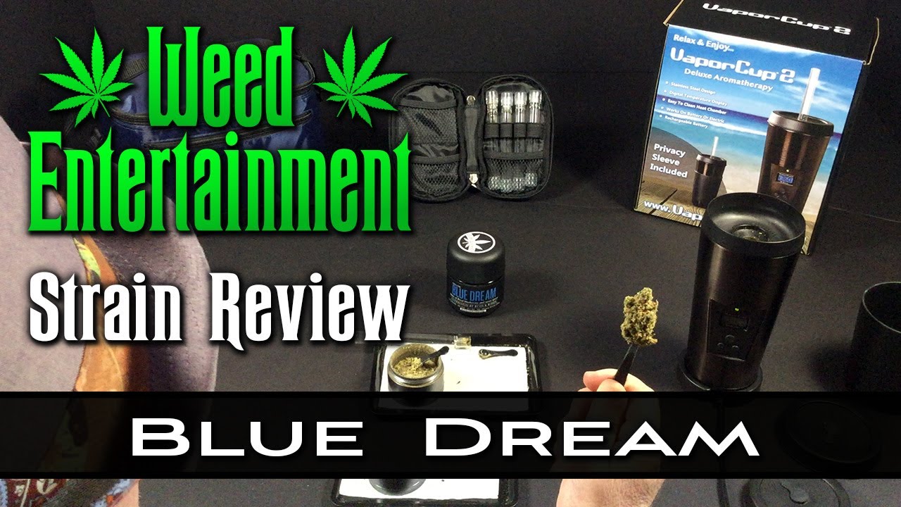 Blue Dream - Sativa Hybrid - by Buds & Roses - Strain Review - from Buds & Roses, Studio City Ca