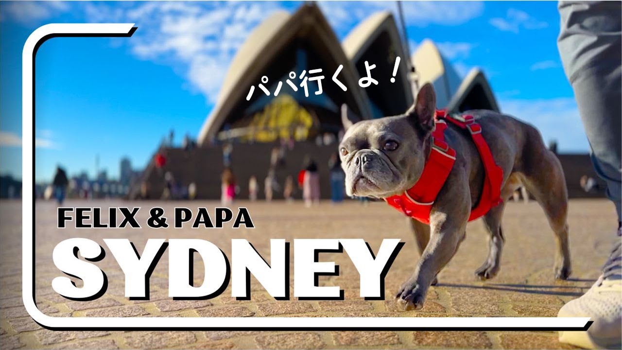 【🇦🇺シドニー】車中泊旅で訪れたオーストラリアのアイコンが素敵すぎた