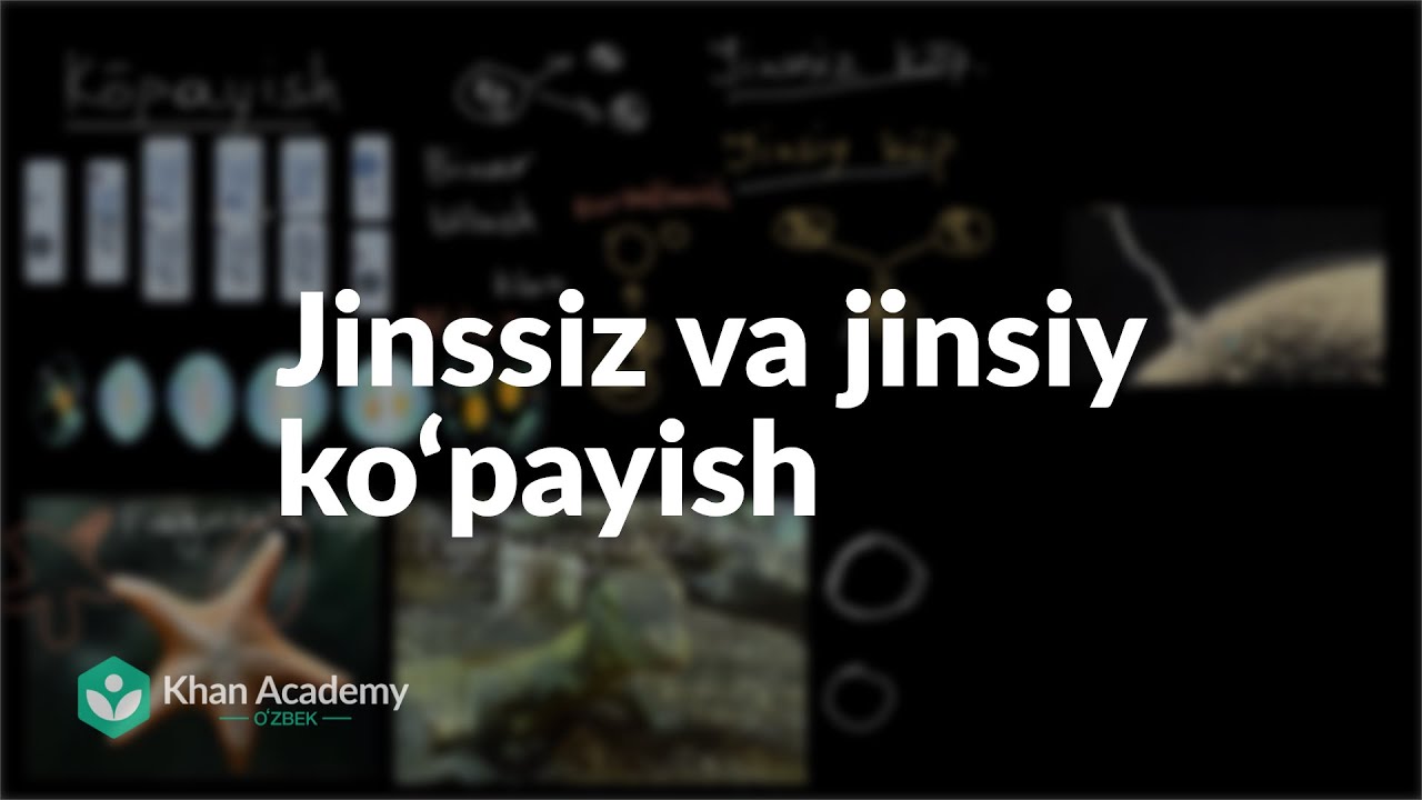 Jinssiz va jinsiy ko‘payish | Koʻpayish va hujayra boʻlinishi | Yuqori sinf biologiyasi