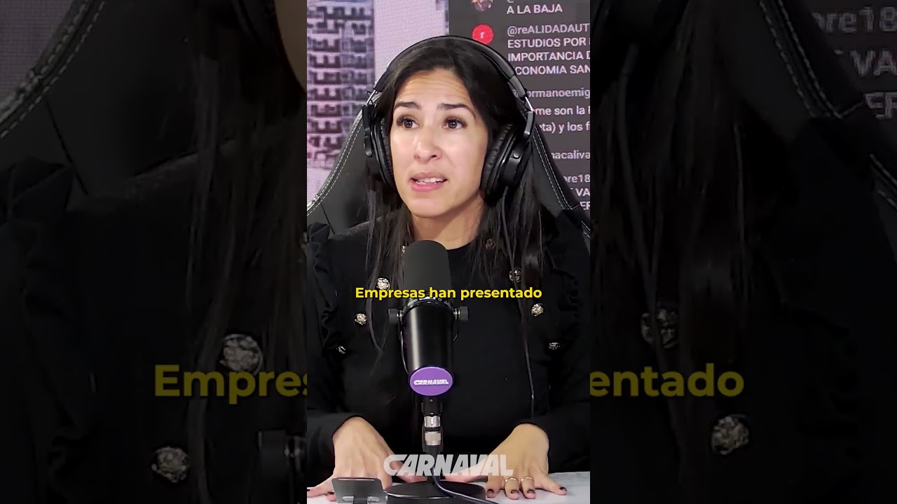 LA MAYOR&Iacute;A DE LAS EMPRESAS ARGENTINAS EN ROJO