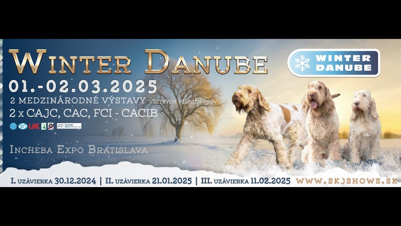 Winter Danube Bratislava - 1.3.2025 - Sobota + Slovakia DogCup