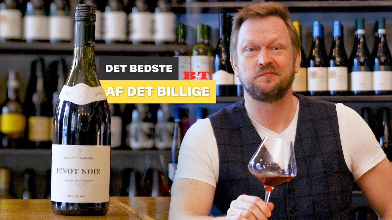 Det bedste af det billige - Pinot Noir rødvin
