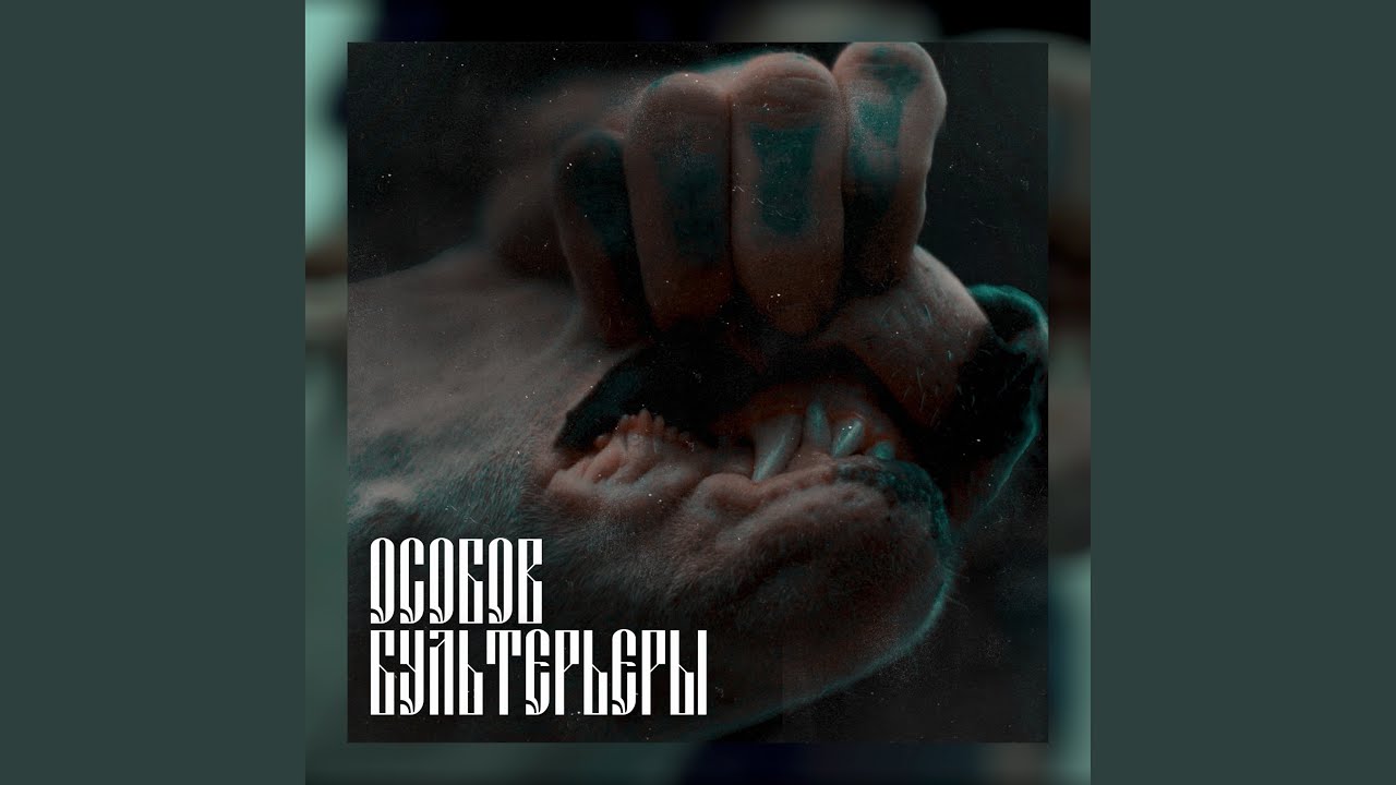 БУЛЬТЕРЬЕРЫ