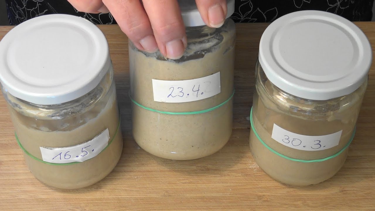 Sauerteig/ Anstellgut mehrere Monate ohne Pflege, geht das?