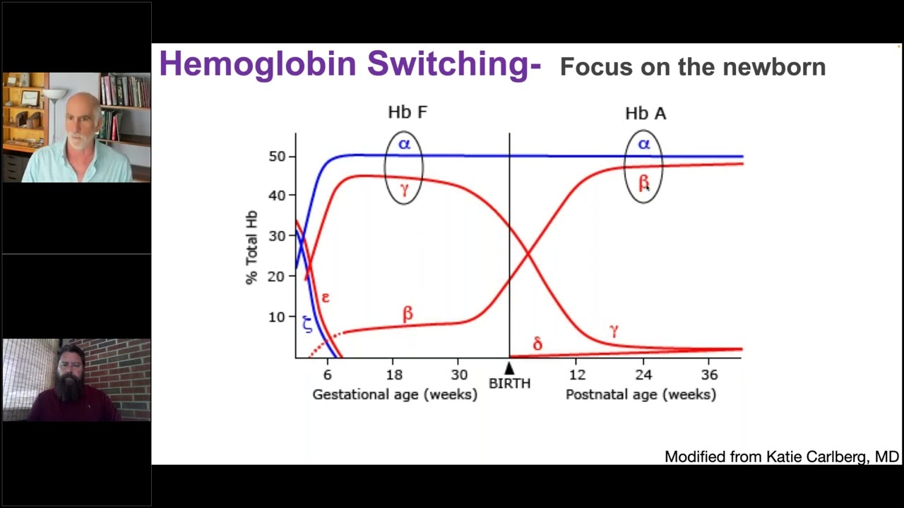 Webinar: Newborn Screening for Thalassemia in the United States  Why, How, and What You Need to Know