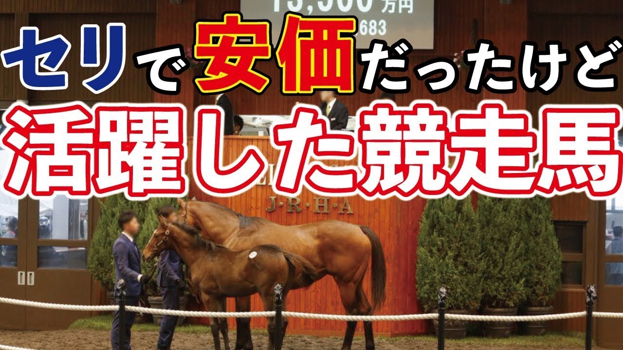 セリ市で安価だったけど活躍した競走馬まとめました！ @Go Keiba