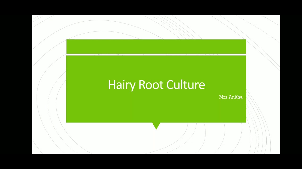 Hairy root Culture