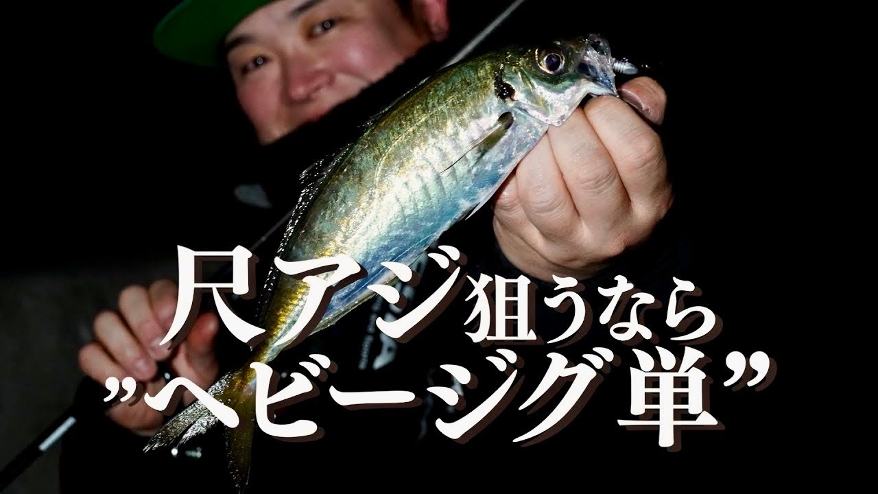【尺アジング】夜の堤防で尺オーバーしか釣れなかった件/奥津剛≪おくつ・たけし≫