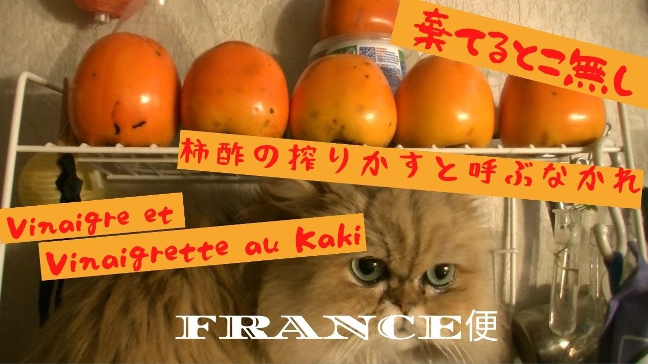棄てるとこ無　柿酢の搾りかすも立派な調味料　柿酢ドレッシング　Vinaigre et Vinaigrette au KAKI　重曹と油で瓶のラベル取 うちの台所は狭い-Table 173