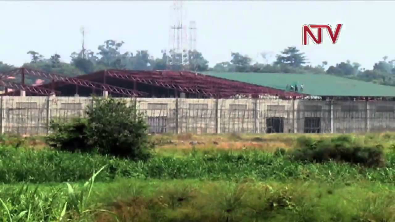 Developers encroach on City wetlands