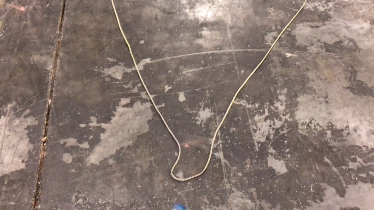 ChaseCam Attachment & Safety