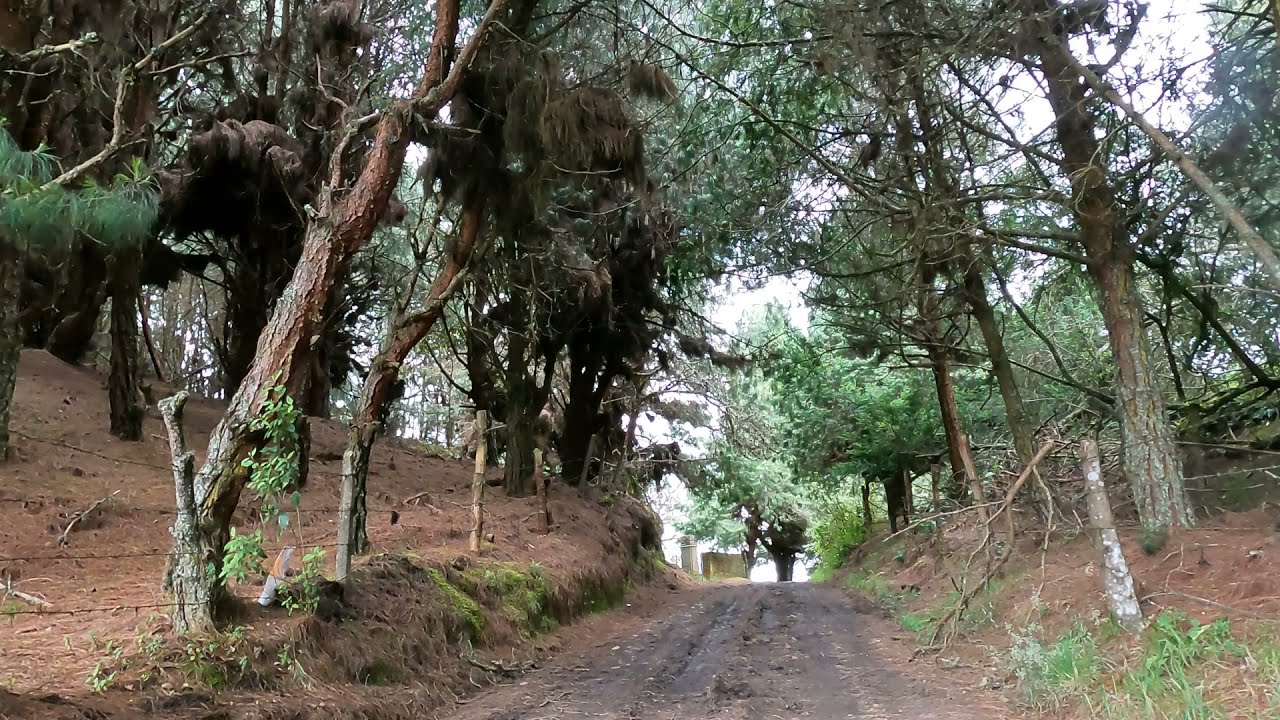 Ruta Sector CHOCOLATERO - VIA CHINGAZA La Calera Cundinamarca