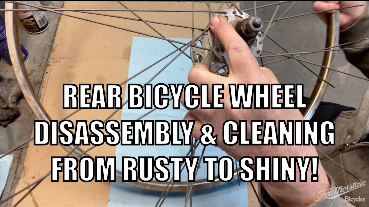 S6E2: Rear Wheel Disassembly & Cleaning