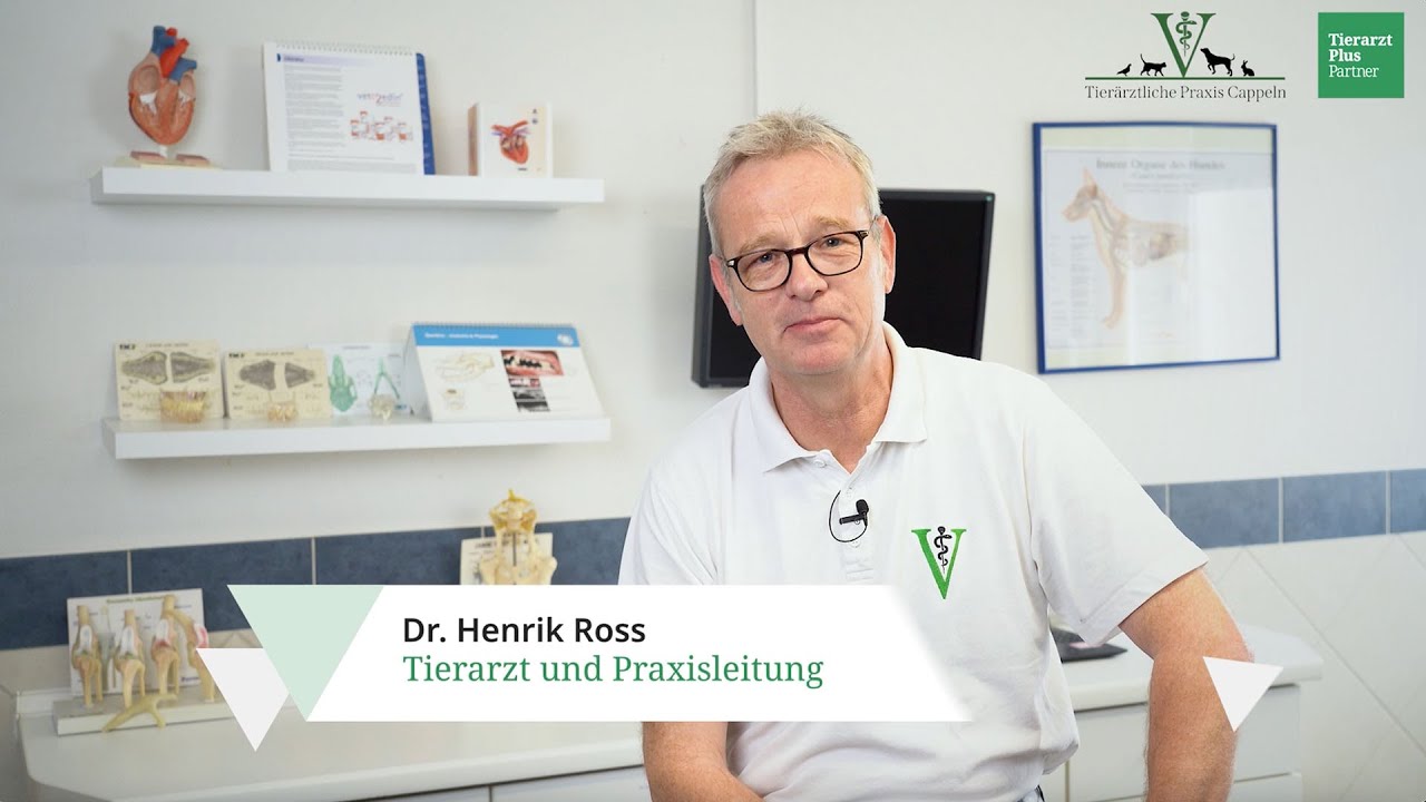Herzlich willkommen in der Tierärztlichen Praxis Cappeln