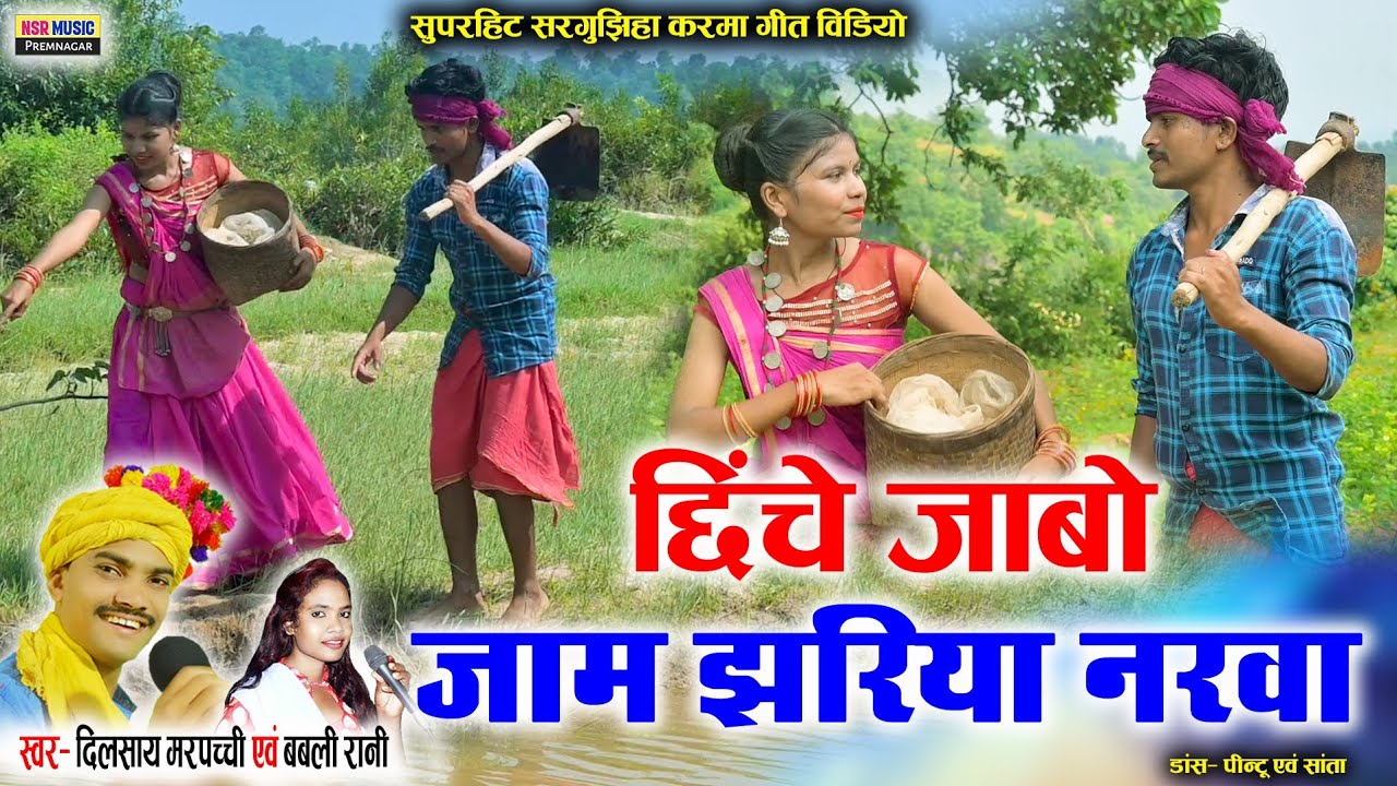Dilsay Marpachchi, Bablirani | छिंचे जाबो जाम झरिया नरवा | Chhiche jaabo jaam jhariya narwa | #NSR
