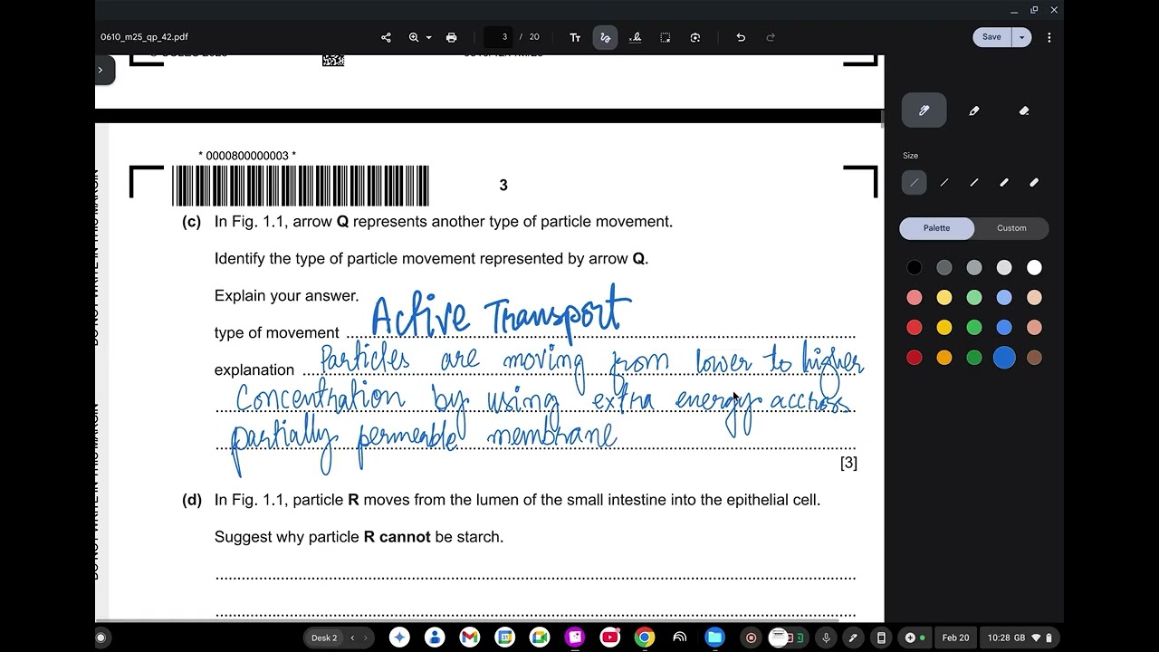 0610 IGCSE March 2025 paper 42 Solved theory paper