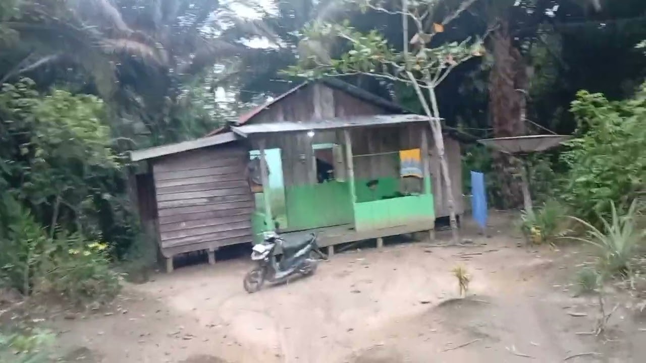 KAMPUNG PEDALAMAN KALIMANTAN, SORE HARI