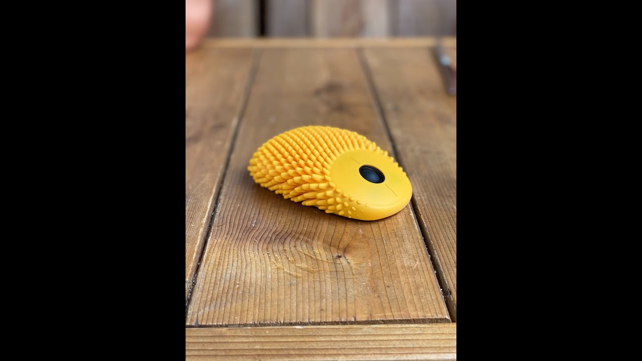 The Hoglet by HedgeHog Health